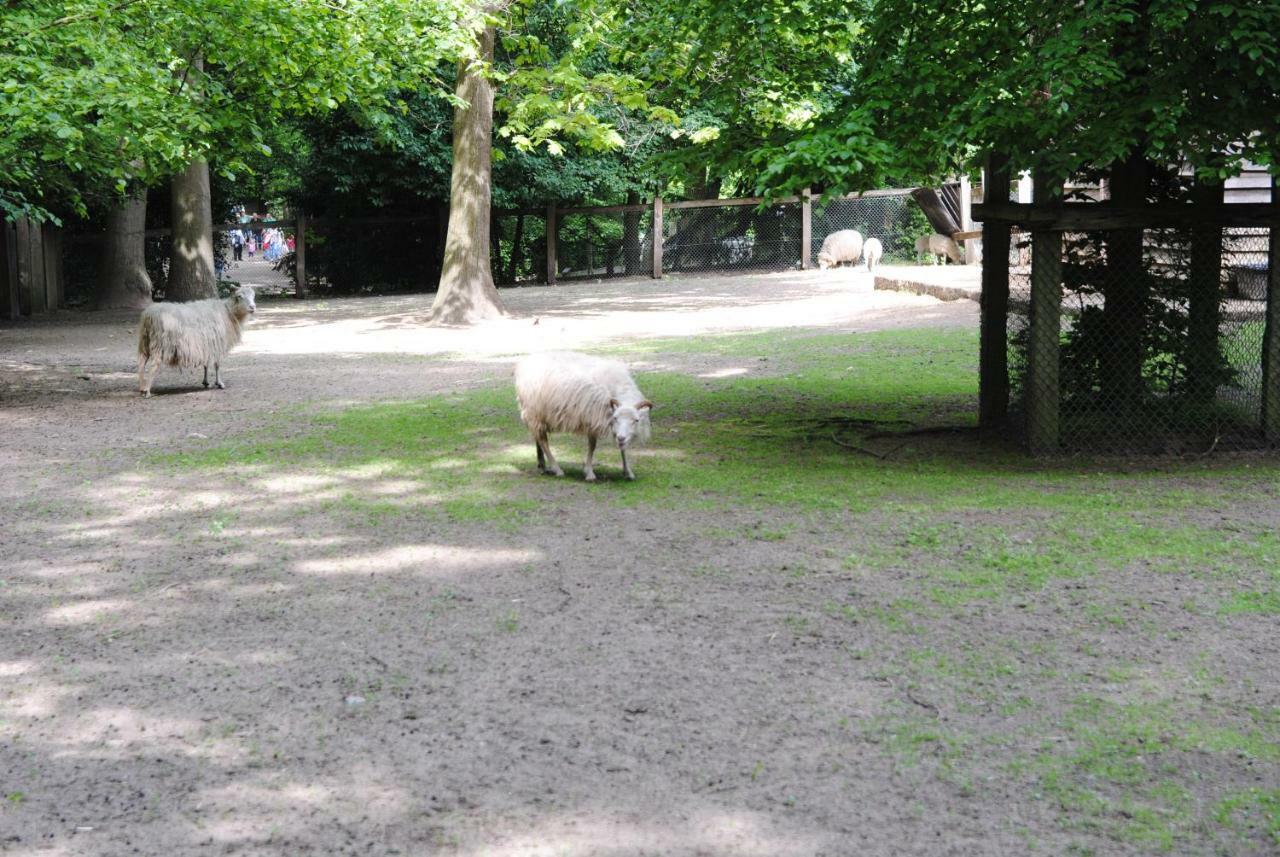 Helle Nichtraucherwohnung 69qm zwischen Köln und Düsseldorf Dormagen Exterior foto